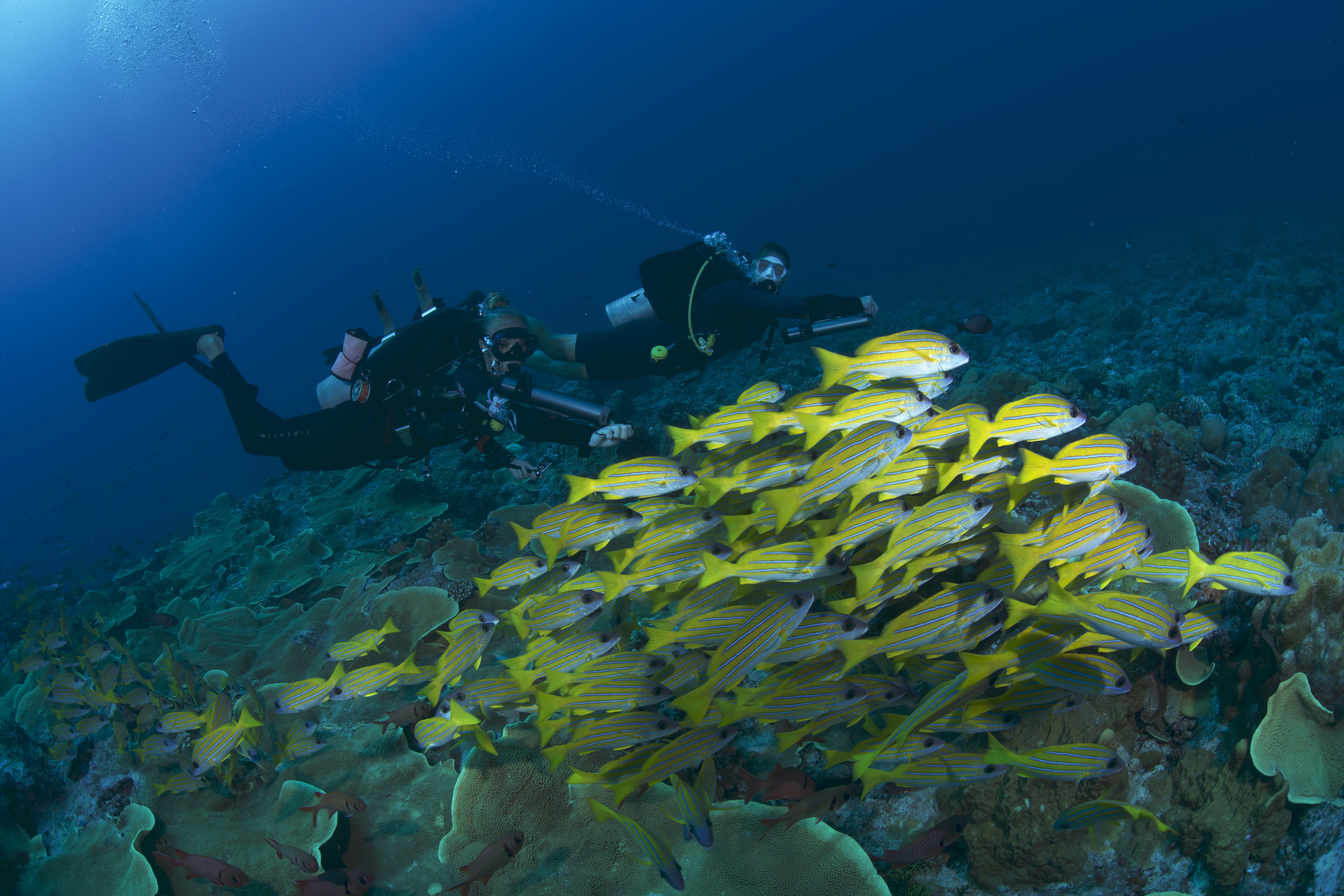 Подводные скутеры — фото 10